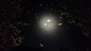 The distracting spotlight was an issue for me, but maybe not for others.