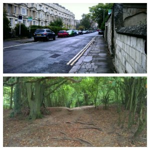 My running start point for the last 4 months compared to today. I know which I prefer!