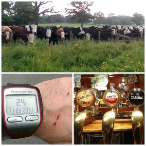 Cow bastards, disappointing stats and a consoling pint, not how the day was supposed to end!